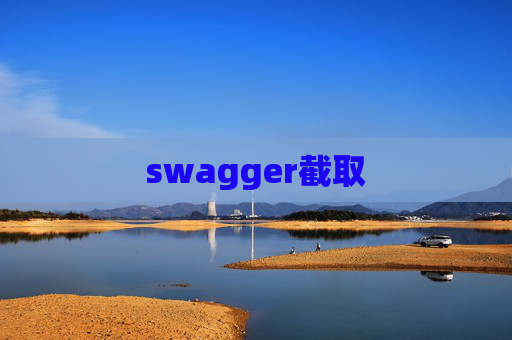 swagger截取